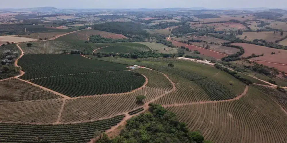 Fazenda Irrigada de Alta Produtividade em Elói Mendes