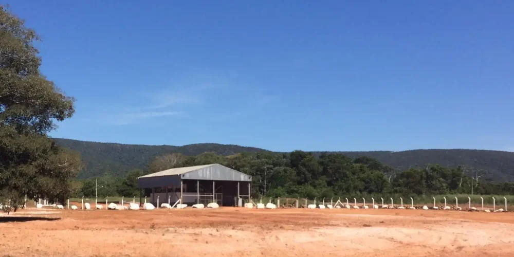 Mineradora de Ouro e Diamantes