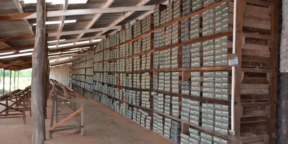 Mineradora de Ouro e Diamantes