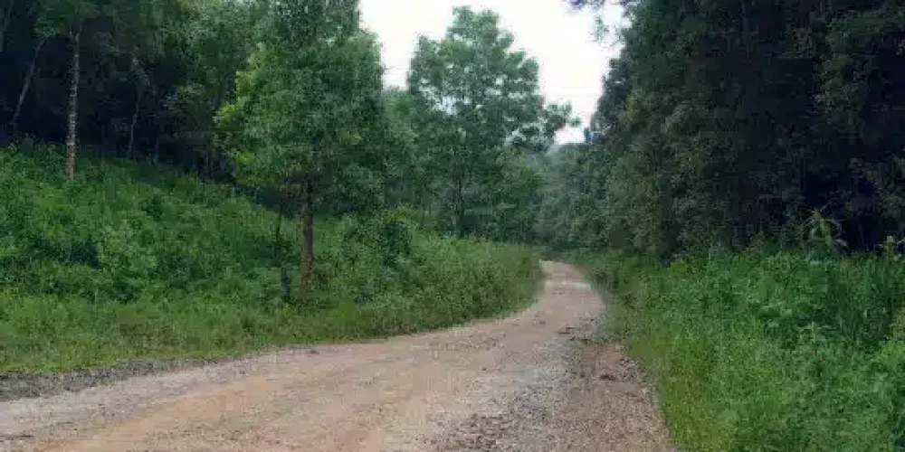Mineradora de Ouro e Diamantes