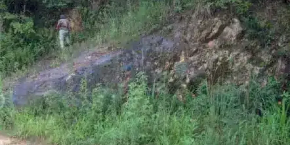 Mineradora de Ouro e Diamantes