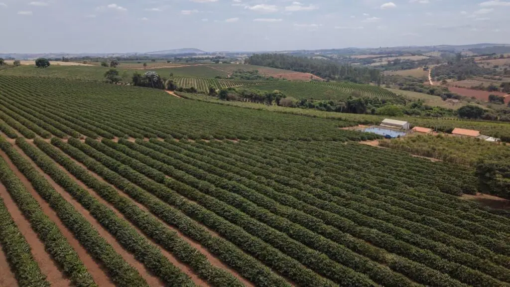 Fazenda Irrigada de Alta Produtividade em Elói Mendes